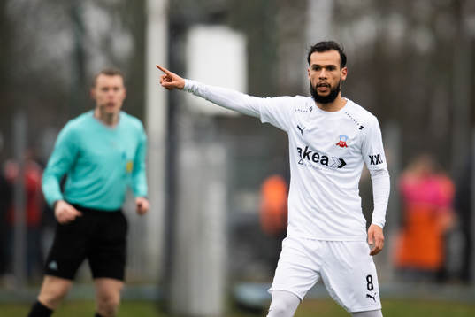Helsingborgs Sumar Almadjed