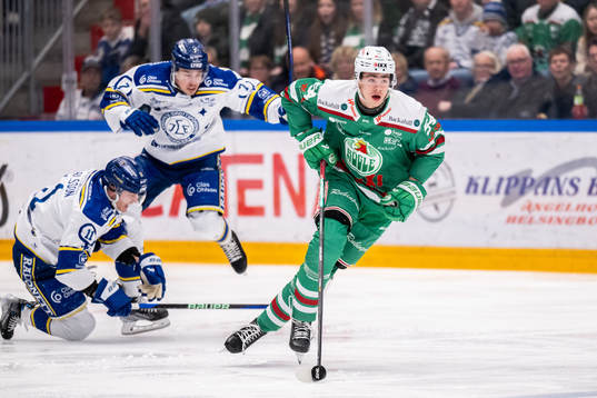 Rögles William Wallinder