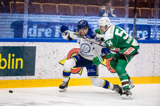 Leksands Carter Ashton och Rögles William Wallinder