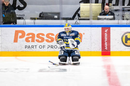 HV71s målvakt Jonas Gunnarsson