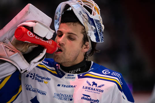 Leksands målvakt Mantas Armalis