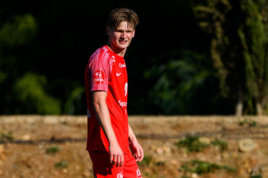 David Møller Wolfe of Brann