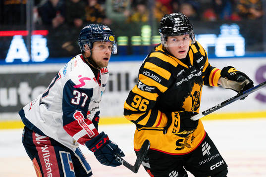 Linköpings Jesper Pettersson och Skellefteås Rickard Hugg