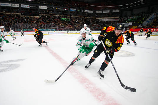 Rögles Oliver Tärnström och Brynäs Nick Olesen