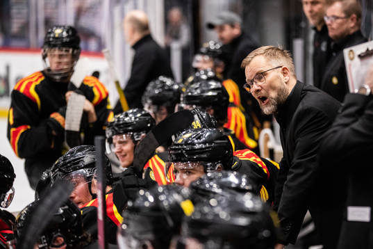 Brynäs tränare Mikko Manner