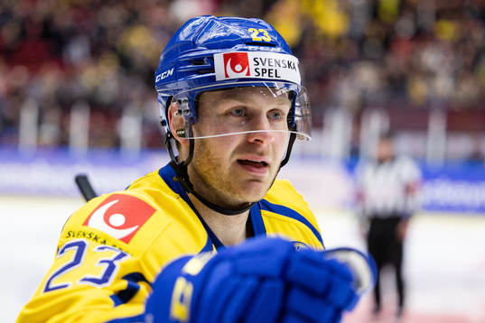 Lucas Wallmark of Sweden celebrates the 1-1 goal