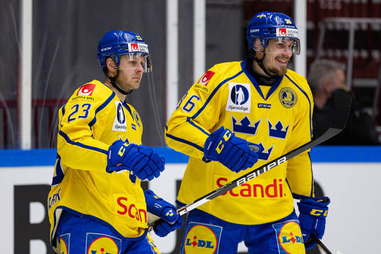 Lucas Wallmark and Emil Larsson of Sweden celebrate the 1-1