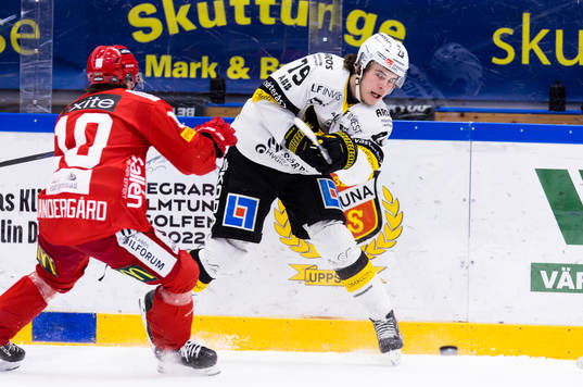 Västerås Gabriel Kangas