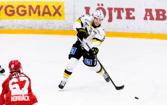 Västerås Ludvig Östman