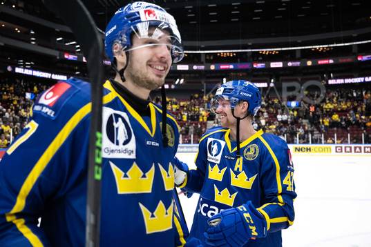 Hardy Häman Aktell and Joakim Nordström of Sweden