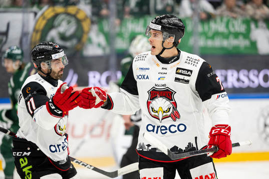 Malmö Redhawks Markus Lauridsen och Oliver Lauridsen jublar