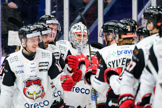 Malmö Redhawks målvakt Adam Werner jublar med lagkamrater
