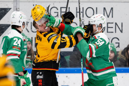 Bråk mellan Skellefteås Max Lindholm och Rögles William