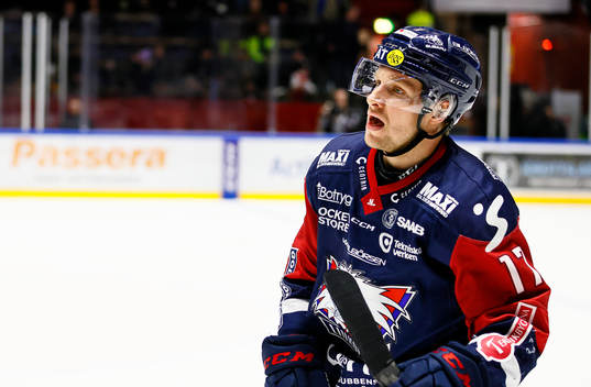 Linköpings Sebastian Strandberg jublar