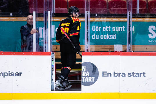 Brynäs David Sklenicka blir utvisad