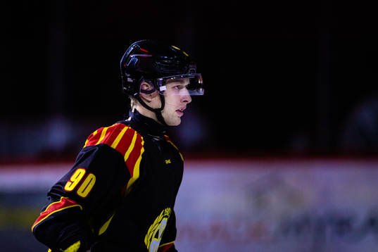Brynäs David Sklenicka