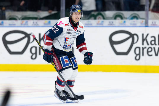 Linköpings Vilmos Gallo jublar