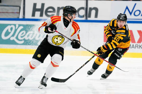 Brynäs David Sklenicka och Skellefteås Andreas Wingerli