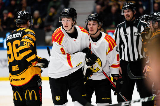 Brynäs William Strömgren