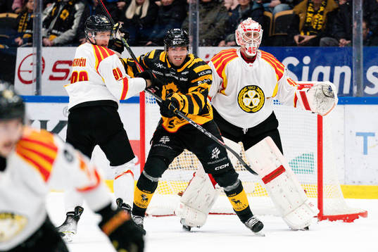 Brynäs David Sklenicka och Skellefteås Max Lindholm