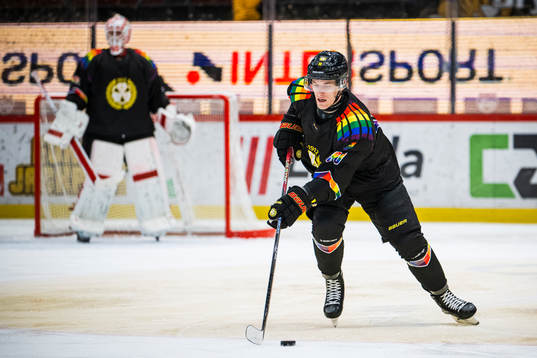 Brynäs David Sklenicka