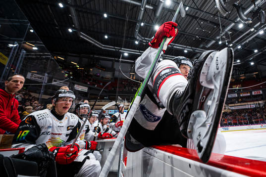 Malmö Redhawks Johan Olofsson och Marcus Sylvegård