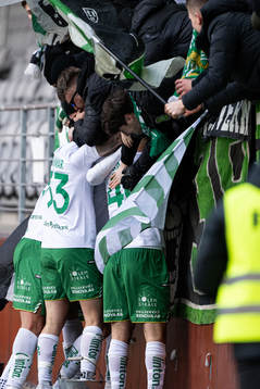 Hammarbys spelare jublar med supportrarna