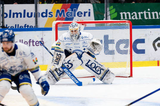 Leksands målvakt Mantas Armalis