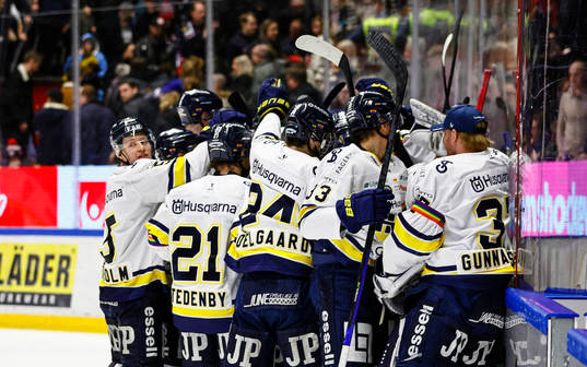 HV71s spelare jublar