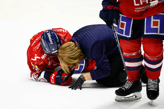 Linköpings Broc Little liggande