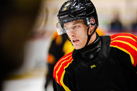 Brynäs David Sklenicka