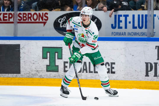 Rögles William Wallinder