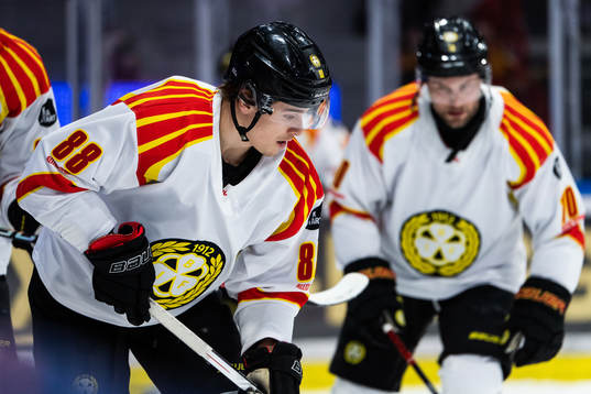 Brynäs Dmytro Timashov