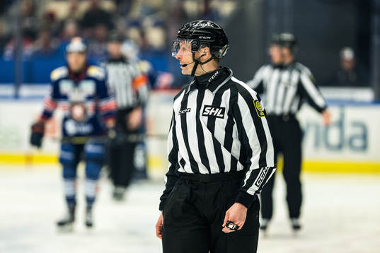 Domare Richard Magnusson
