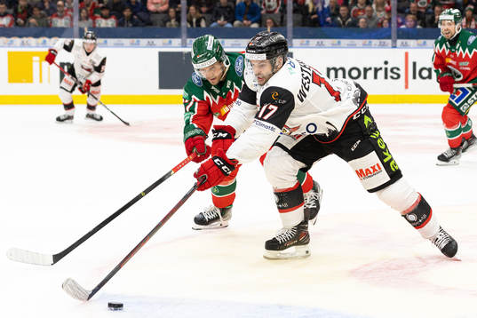 Frölundas Jacob Nilsson och Malmö Redhawks Pathrik