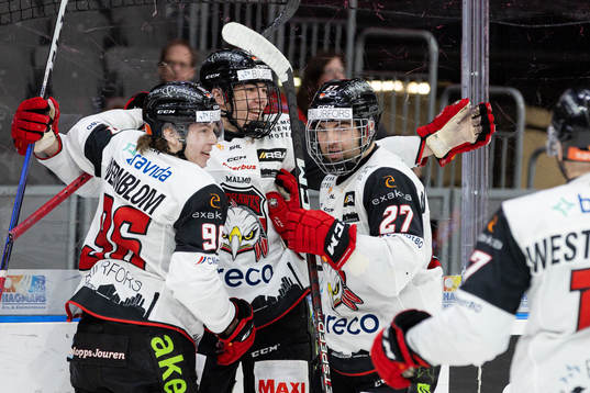 Malmö Redhawks Lukas Wernblom ,Anton Wahlberg och Ponthus