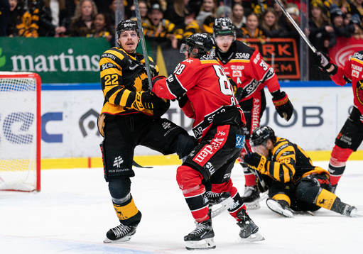 Skellefteås Jonathan Johnsson och Luleås Joonas Rask
