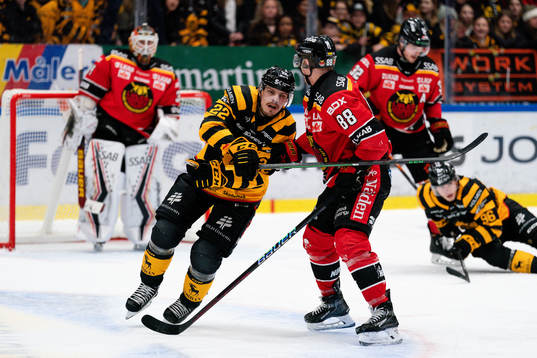 Skellefteås Jonathan Johnsson och Luleås Joonas Rask