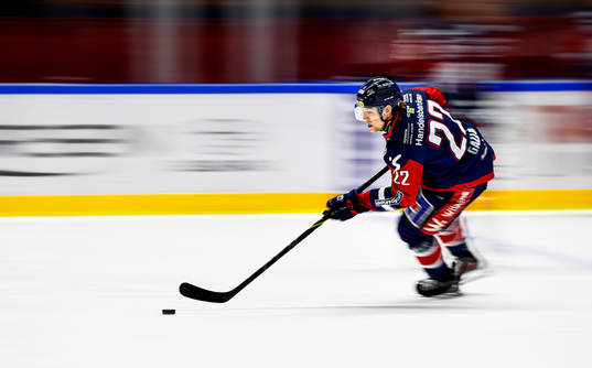 Linköpings Vilmos Gallo