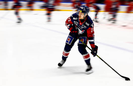 Linköpings Vilmos Gallo