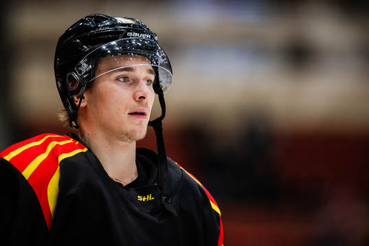 Brynäs Dmytro Timashov