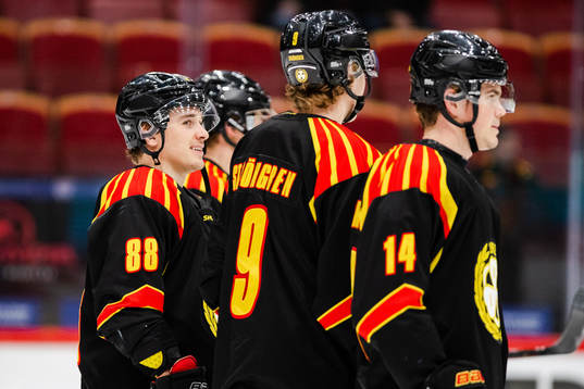 Brynäs Dmytro Timashov