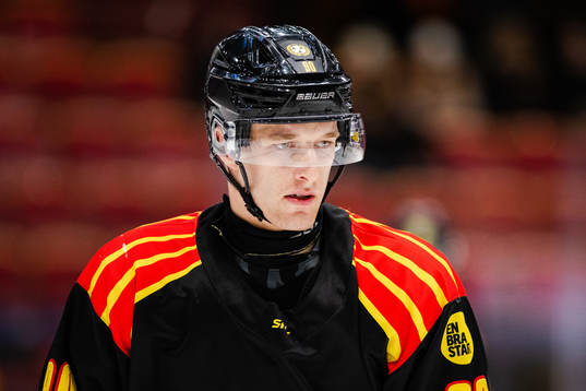 Brynäs David Sklenicka