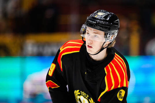 Brynäs William Strömgren