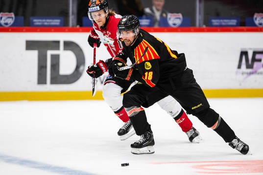 Brynäs Anton Rödin