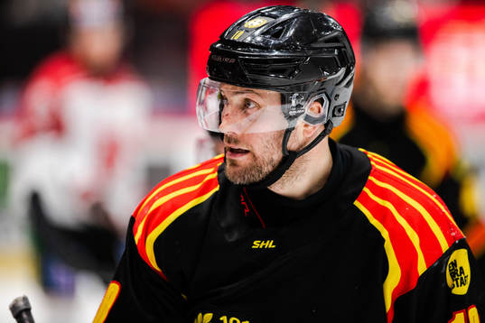 Brynäs Johan Larsson