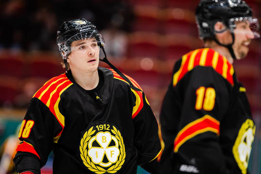 Brynäs Dmytro Timashov
