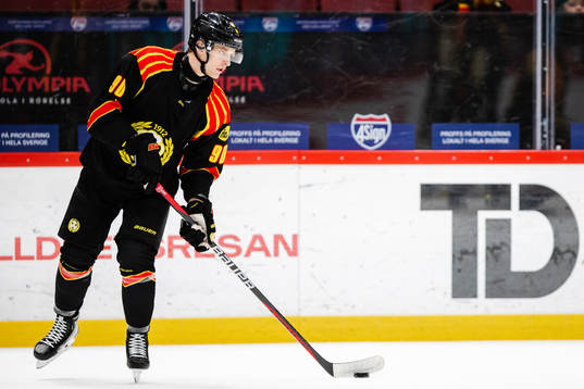 Brynäs David Sklenicka