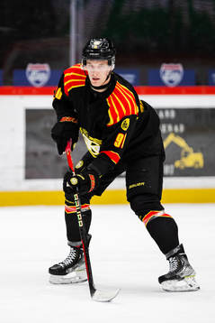 Brynäs David Sklenicka