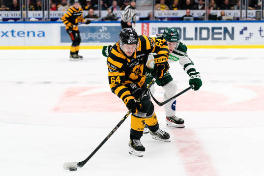 Skellefteås Jonathan Pudas och Färjestads Daniel Viksten